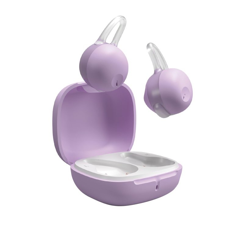 OWS Earphones with Earhook and Charging Case